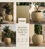 W SPHR Beige 10 Inch German Polymer Round Plant Container