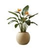 W SPHR Beige 13 Inch German Polymer Round Plant Container
