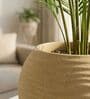 W SPHR Beige 16 Inch German Polymer Round Plant Container