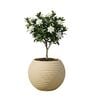 W SPHR Beige 16 Inch German Polymer Round Plant Container