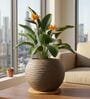 W SPHR Choco Brown 10 Inch German Polymer Round Plant Container