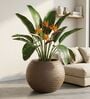 W SPHR Choco Brown 13 Inch German Polymer Round Plant Container