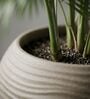 W SPHR Choco Brown 13 Inch German Polymer Round Plant Container
