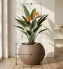 W SPHR Choco Brown 16 Inch German Polymer Round Plant Container