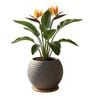 W SPHR Grey 10 Inch German Polymer Round Plant Container