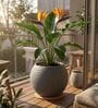 W SPHR Grey 16 Inch German Polymer Round Plant Container