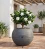 W SPHR Grey 16 Inch German Polymer Round Plant Container