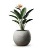 W SPHR Marble White 10 Inch German Polymer Round Plant Container
