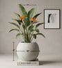 W SPHR Marble White 10 Inch German Polymer Round Plant Container