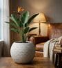 W SPHR Marble White 10 Inch German Polymer Round Plant Container