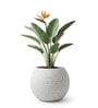 W SPHR Marble White 13 Inch German Polymer Round Plant Container