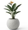 W SPHR Marble White 16 Inch German Polymer Round Plant Container