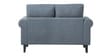 Watson 2 Seater Sofa in Grey Color