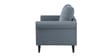 Watson 2 Seater Sofa in Grey Color