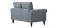 Watson 2 Seater Sofa in Grey Color