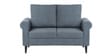 Watson 2 Seater Sofa in Grey Color