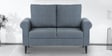 Watson 2 Seater Sofa in Grey Color