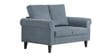 Watson 2 Seater Sofa in Grey Color