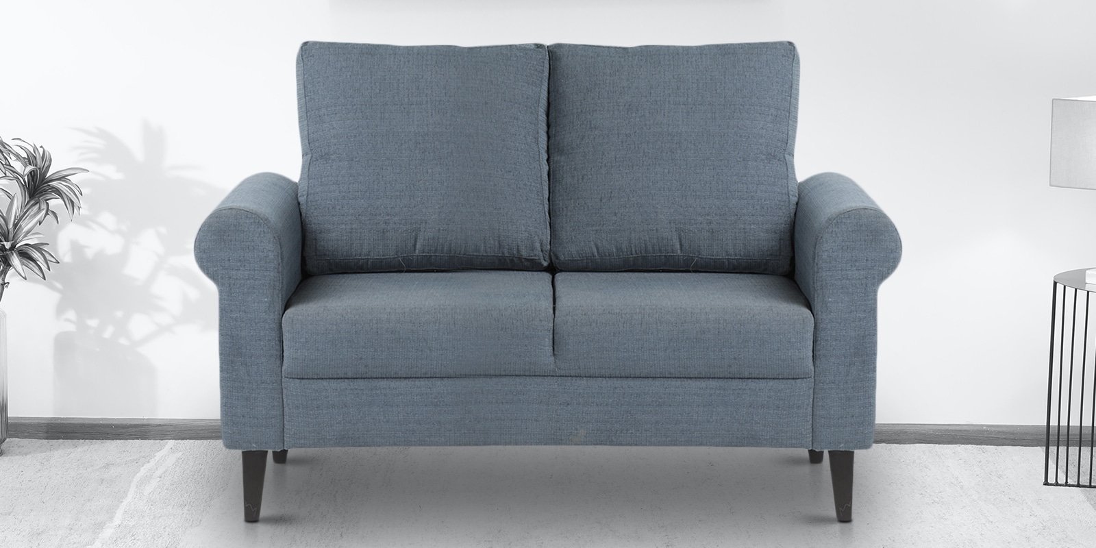 Watson 2 Seater Sofa in Grey Color