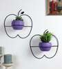 Wall Hanging Purple Apple Planters Set of 2