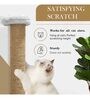 Wall Hanging Scratching Post For Cat Kitten Large Size In Grey Colour
