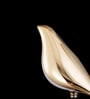 Wall Light (Sparrow Led, Single)