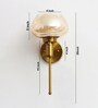 Wall Sconce with Kachori Amber Glass Shade