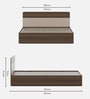 Walnico King Size Bed With Box Storage In Melamine Finish