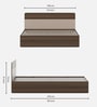 Walnico Queen Size Bed With Box Storage In Melamine Finish