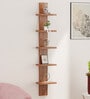 Walnut Engineered Wood Louis Floating Wall Shelf