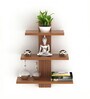 Walnut Engineered Wood Phelix Floating Wall Shelf