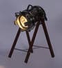 Walnut Mdf Study Lamp  (1 Piece)