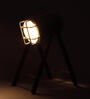 Walnut Mdf Study Lamp  (1 Piece)