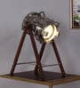 Walnut Mdf Study Lamp  (1 Piece)