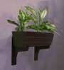 Walnut Wood Polymer Composite Boat Wall Planter With Walnut Bracket