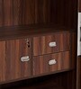 Walton 2 Door Sliding Wardrobe in Walnut Colour
