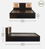 Waltz Jali Queen Size Bed with Box & Headboard Storage in Wenge Finish 