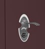 Wardrobe H1 Steel 2 Door Wardrobe in Shell Wine Red Colour