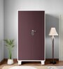 Wardrobe H1 Steel 2 Door Wardrobe in Shell Wine Red Colour