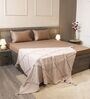 Warm Cocoa 100% Cotton 300TC Solid Superking Bedsheet with 2 Pillow Covers (Quilted)