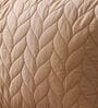 Warm Cocoa 100% Cotton 300TC Solid Superking Bedsheet with 2 Pillow Covers (Quilted)