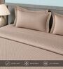 Brown 300TC 100% Cotton Flat Chekered Super King Bedsheet with 2 Pillow Covers