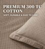 Brown 300TC 100% Cotton Flat Chekered Super King Bedsheet with 2 Pillow Covers