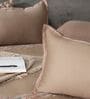 Warm Cocoa 300TC 100% Cotton Solids Flat Embroidered Super King Bedsheet With 2 Pillow Covers