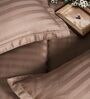 Brown 300TC 100% Cotton Stripe Flat Super King Bedsheet with 2 Pillow Covers