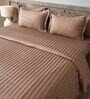 Brown 300TC 100% Cotton Stripe Flat Super King Bedsheet with 2 Pillow Covers