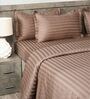 Brown 300TC 100% Cotton Stripe Flat Super King Bedsheet with 2 Pillow Covers
