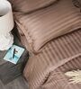 Brown 300TC 100% Cotton Stripe Flat Super King Bedsheet with 2 Pillow Covers