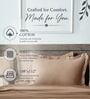 Brown 400TC 100% Cotton Solid Flat Super King Bedsheet With 2 Pillow Covers