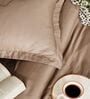 Brown 400TC 100% Cotton Solid Flat Super King Bedsheet With 2 Pillow Covers
